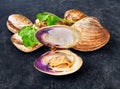 Open en closed clams with shellfish isolated on black background Royalty Free Stock Photo