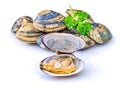 Open en closed clams with shellfish isolated on white background Royalty Free Stock Photo