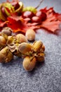 Open envelope with autumnal greetings like colorful leaves, nuts on grey background.- fall printed on dry maple leaf Royalty Free Stock Photo