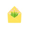 Open envelope with a bouquet of pink tulips Royalty Free Stock Photo