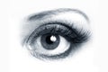 Open eye closeup Royalty Free Stock Photo