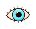 Open eye with eyelashes. Color doodle icon. Hand drawn simple illustration of part of human body. Contour isolated vector Royalty Free Stock Photo