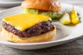 open face cheeseburger plate Royalty Free Stock Photo