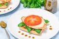 Open face sandwich with chicken, mozzarella, tomato, pesto and basil on toasted ciabatta, horizontal Royalty Free Stock Photo