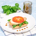 Open face sandwich with chicken, mozzarella, tomato, pesto and basil, square format Royalty Free Stock Photo