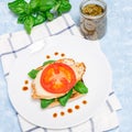 Open face sandwich with chicken, mozzarella, tomato, pesto and basil, top view, square format Royalty Free Stock Photo