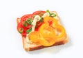 Open faced vegetable sandwich