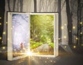 Open fairytale book Royalty Free Stock Photo