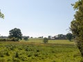 open farm field green grass lush pasture landscape background Royalty Free Stock Photo