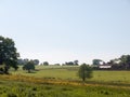 open farm field green grass lush pasture landscape background Royalty Free Stock Photo