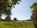 open farm field green grass lush pasture landscape background Royalty Free Stock Photo