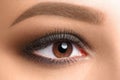 Open female brown eye with makeup Royalty Free Stock Photo