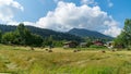 An open field of farm with piles of straw and a tractor in Artvin, Turkey Royalty Free Stock Photo