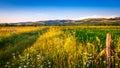 Open field and hills at sunset