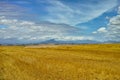 Open, field and landscape with clouds in sky for wellness, nature and countryside for harvest. Grass, straw and golden