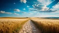 Open field of opportunities path Royalty Free Stock Photo