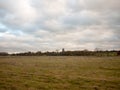 Open field plain autumn grass land sheep church england Royalty Free Stock Photo