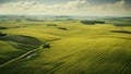 open field view of nature in spring Royalty Free Stock Photo