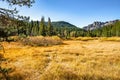 Open field view of the Sierra Buttes Royalty Free Stock Photo
