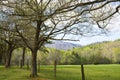 Open fields of Cades Cove in spring. Royalty Free Stock Photo