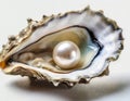 Open fine oyster with pearl on white background Royalty Free Stock Photo