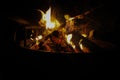 Open fire on campground black background Royalty Free Stock Photo