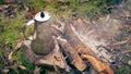 Open fire camping coffee pot Royalty Free Stock Photo