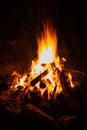 Open fire place in the field Royalty Free Stock Photo