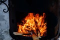 open fire in a large cauldron Royalty Free Stock Photo