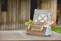 Open fitted wicker picnic hamper on a garden table Royalty Free Stock Photo