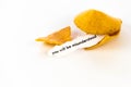 Open fortune cookie - YOU WILL BE MISUNDERSTOOD Royalty Free Stock Photo