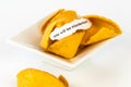 Open fortune cookie - YOU WILL BE MISUNDERSTOOD