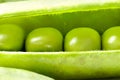 Open Fresh Pea Pod, Macro Royalty Free Stock Photo