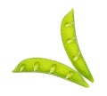 Open fresh peas isolated on white Royalty Free Stock Photo