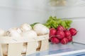 Open fridge full of fresh fruits and vegetables