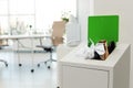 Open full trash bin in modern office. Waste recycling Royalty Free Stock Photo