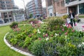 Open garden in the city of various colors