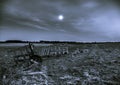 An open gate on a field in the night with a full moon Royalty Free Stock Photo