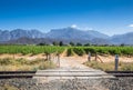 Open gate gravel road entrance to grape vines vineyard on a hot