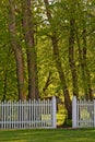Open gate leading to forest Royalty Free Stock Photo