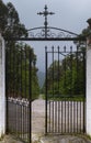 Open gate leading to path in forest Royalty Free Stock Photo