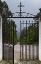 Open gate leading to path in forest