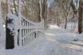 Open gate and a snowy alley of trees a winter day Royalty Free Stock Photo
