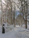 Open gate and a snowy alley of trees a winter day