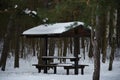 Open gazebo in a snowy forest in winter