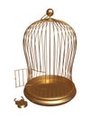 Open gold cage with the forced lock
