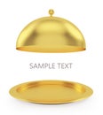 Open gold tray on a white background