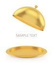 Open gold tray on a white background