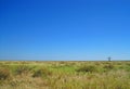 OPEN GRASSLAND IN AFRICAN LANDSCAPE WITH SINGLE DEAD TREE