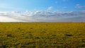 Open grassland, clear skies, and distant horizon